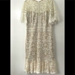 Tadashi Shoji Bridal Dress 16